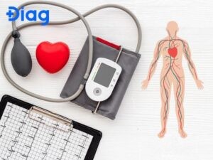 Huyết áp giảm dần từ động mạch đến tĩnh mạch