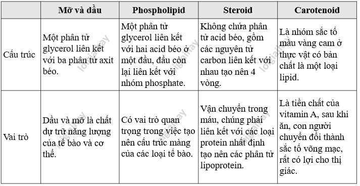 Cấu trúc phân tử chất béo và dầu