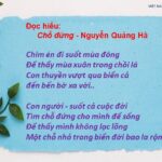 Chim én báo hiệu mùa xuân về, mang theo sự ấm áp và niềm vui