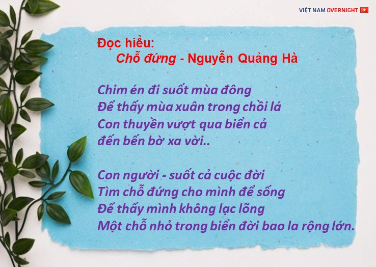 Chim én báo hiệu mùa xuân về, mang theo sự ấm áp và niềm vui