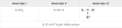 Phân loại Amin theo bậc
