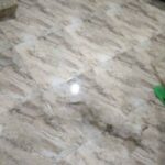 Vết bánh xe ẩn mình giữa thiên nhiên hoang dã