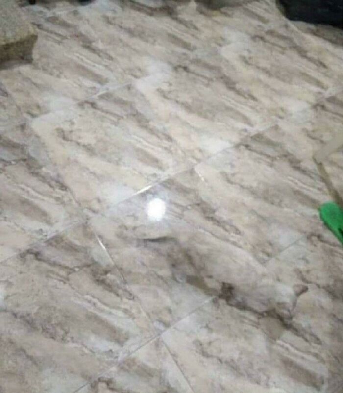 Vết bánh xe ẩn mình giữa thiên nhiên hoang dã