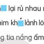 Chim chích bông với bộ lông xám nhạt và mỏ nhọn
