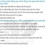 Bãi biển xanh mát với rừng cây bao quanh, thể hiện sự cần thiết của việc bảo tồn cảnh quan thiên nhiên để duy trì môi trường sống trong lành