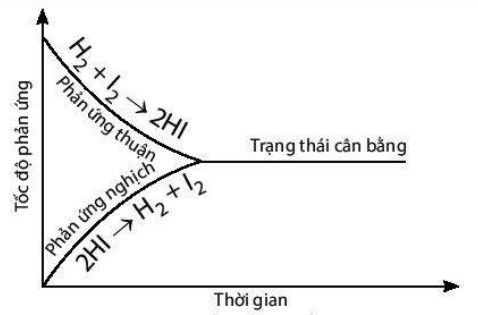 Sự thay đổi nồng độ các chất theo thời gian