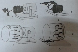 Ánh sáng xanh có vai trò quan trọng trong việc điều khiển hướng sáng ở thực vật, giúp cây tối ưu hóa việc hấp thụ ánh sáng.