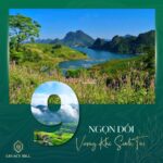 Người khôn tìm chốn bình yên bắt đầu từ việc lựa chọn chiếc xe tải phù hợp