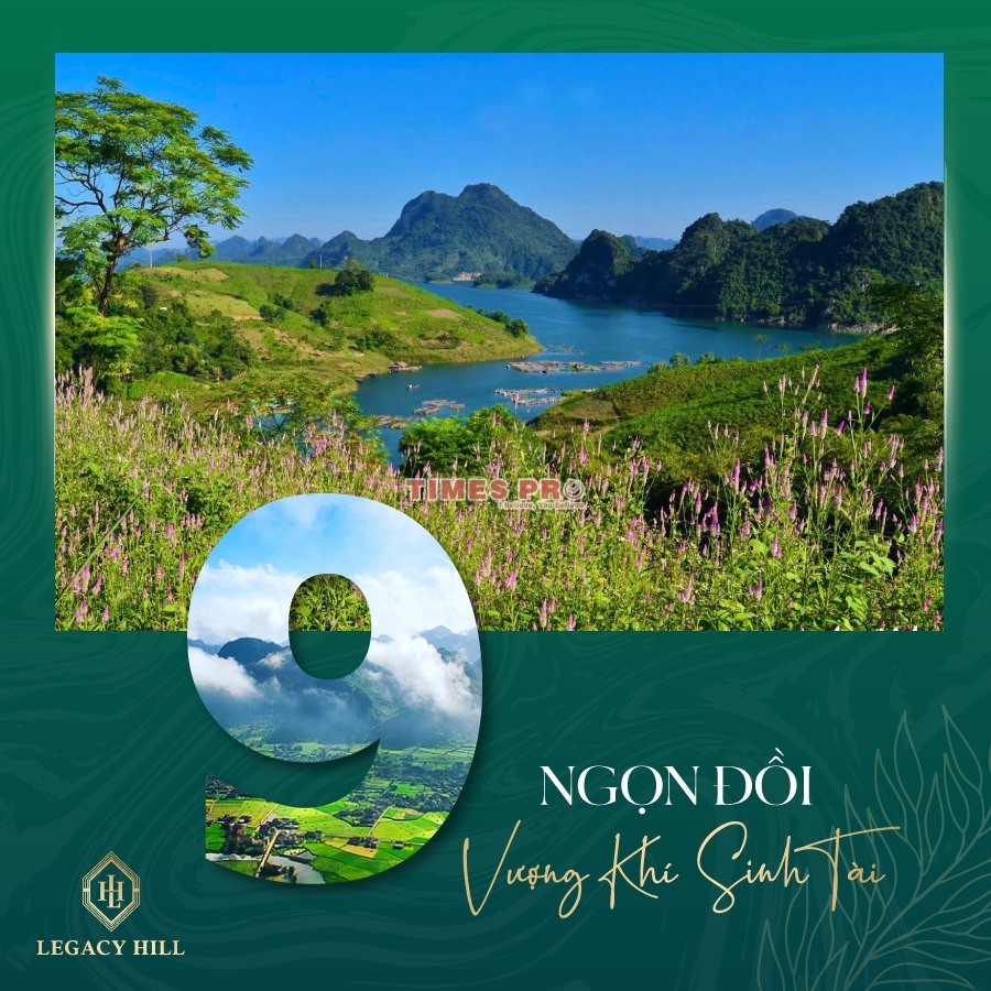 Người khôn tìm chốn bình yên bắt đầu từ việc lựa chọn chiếc xe tải phù hợp