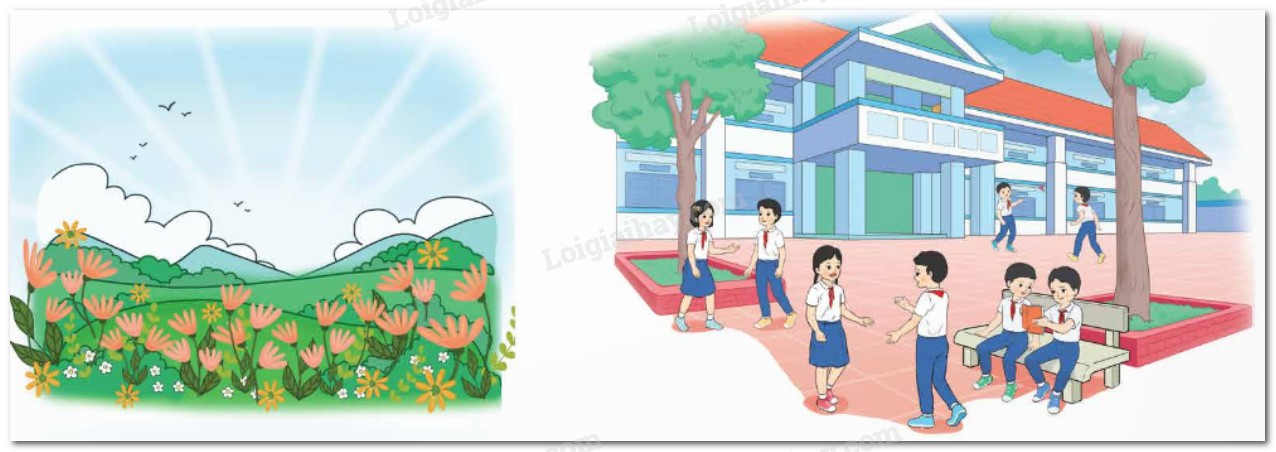 Hình ảnh xe tải đang leo dốc