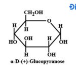 Pyranose là dạng vòng 6 cạnh phổ biến nhất của glucose.