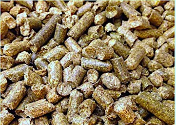 Lá cây khô là nguồn cung cấp carbon dồi dào và dễ kiếm