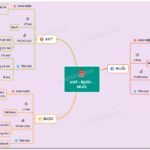Sơ đồ tư duy Axit - Bazơ - Muối giúp bạn hệ thống kiến thức một cách logic