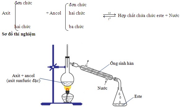 Minh họa phản ứng este hóa