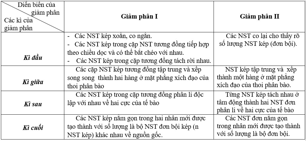 So sánh giảm phân và nguyên phân