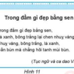 Hướng dẫn chọn Portrait trong Word
