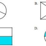 Hình ảnh minh họa các hình A, B, C, D với phần tô đậm khác nhau