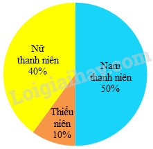Biểu đồ thể hiện tỉ lệ nam thanh niên, nữ thanh niên và thiếu niên tham gia đồng diễn thể dục