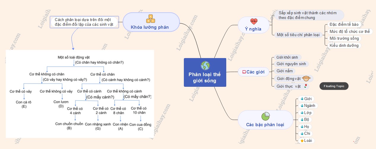 Sơ đồ tư duy khóa lưỡng phân