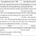 Lược đồ địa bàn chiến đấu của nghĩa quân Bãi Sậy