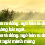 cánh đồng lúa chín quê hương