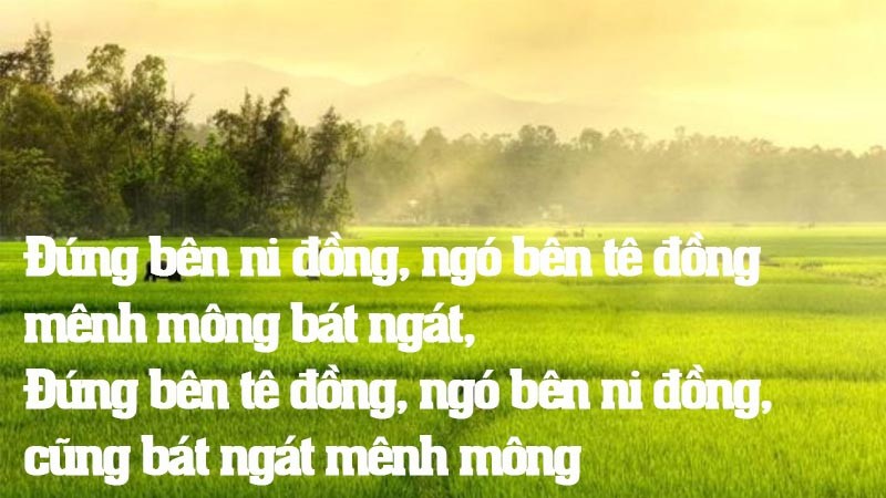 cánh đồng lúa chín quê hương