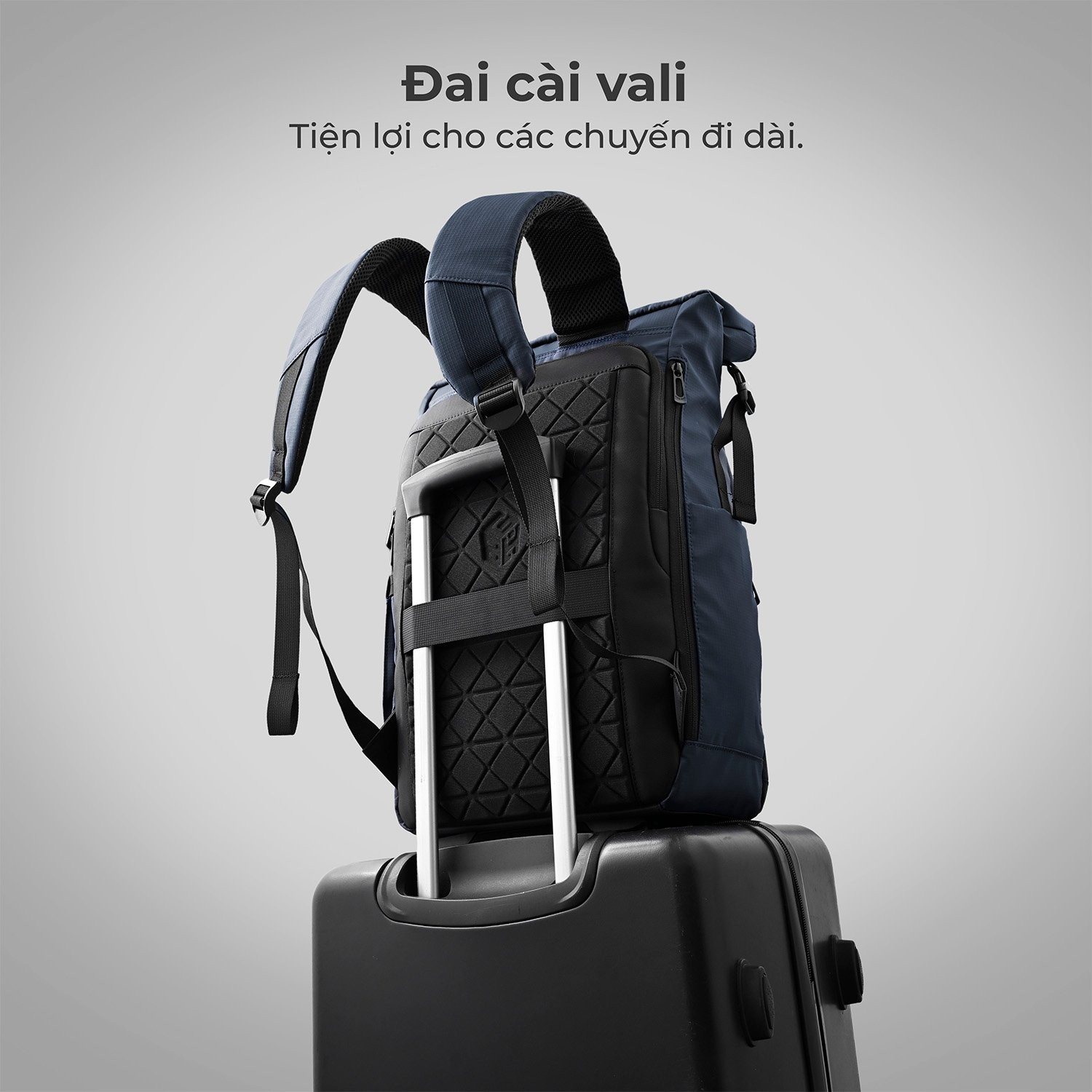 Balo Laptop King Bag Sofia IV 7 553ebdb04fe44b6eb16e7bdac8f443ed