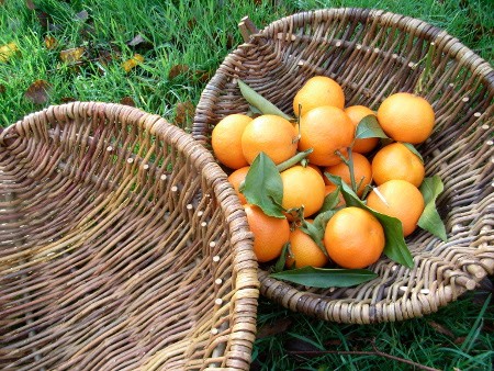 Sản phẩm giỏ đựng được làm thủ công