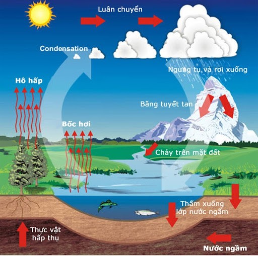 Ô nhiễm môi trường do hoạt động của con người
