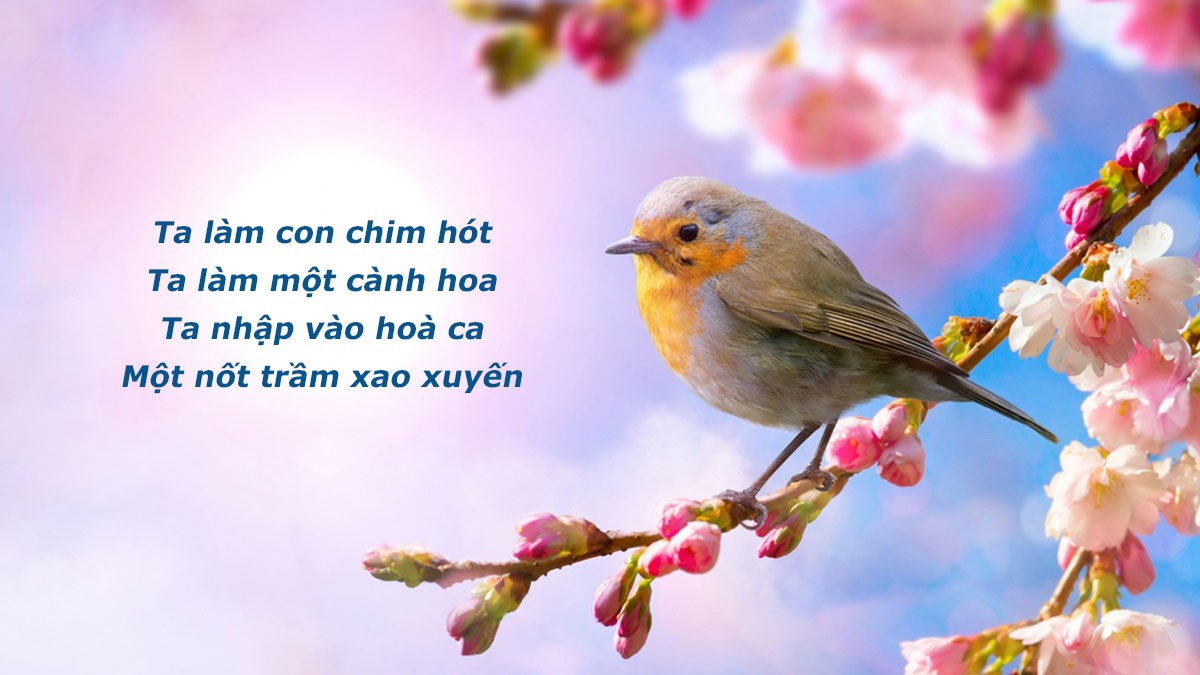 ví dụ về lặp cấu trúc trong biện pháp tu từ