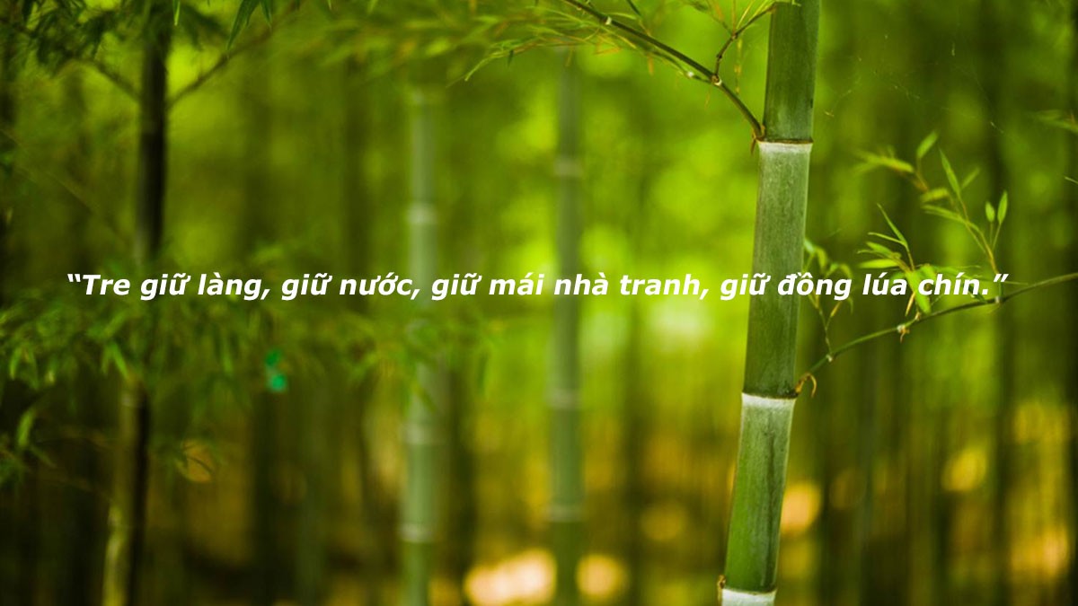 ví dụ về điệp ngữ trong biện pháp tu từ