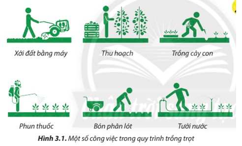Máy cày đất hiện đại giúp quá trình chuẩn bị đất hiệu quả hơn