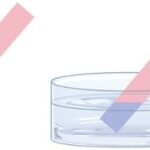 Phản ứng giữa oxit và axit H2SO4 loãng tạo ra muối và nước, minh họa tính chất hóa học của oxit bazơ và oxit lưỡng tính