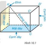 Quan sát Hình 10.1. a) Nêu tên các đỉnh, cạnh, đường chéo của hình hộp chữ nhật ABCD.A’B’C’D’. (ảnh 1)