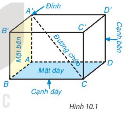 Quan sát Hình 10.1. a) Nêu tên các đỉnh, cạnh, đường chéo của hình hộp chữ nhật ABCD.A’B’C’D’. (ảnh 1)