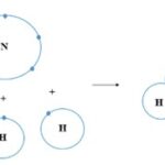 Cấu trúc phân tử NH3