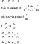 phân số tối giản lớp 4