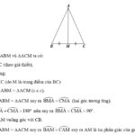 Chứng minh hai tam giác ABM và ACM bằng nhau