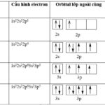 ở trạng thái cơ bản, nguyên tử của những nguyên tố nào dưới đây có electron độc thân?