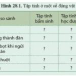 tập tính bẩm sinh của động vật