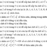 Ảnh minh họa các loại xe tải thường gặp