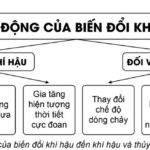 Sơ đồ thể hiện tác động của biến đổi khí hậu đến khí hậu và thủy văn nước ta.