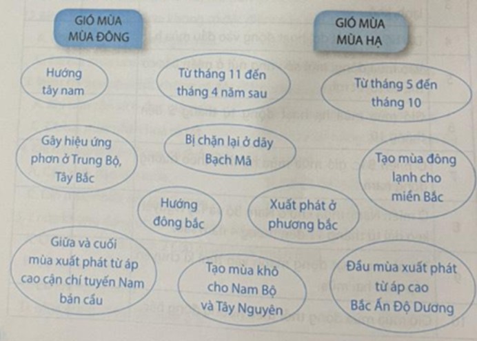 Sương mù bao phủ trên đồi chè, tạo nên khung cảnh thơ mộng và huyền ảo, làm nổi bật vẻ đẹp tự nhiên của vùng đất này