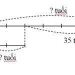 Sơ đồ bài toán tuổi bố tuổi con