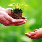 Hình ảnh minh họa về lòng vị tha và sự tha thứ trong cuộc sống.
