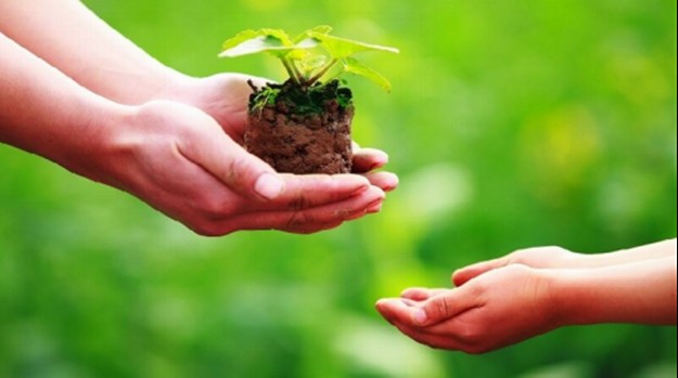 Hình ảnh minh họa về lòng vị tha và sự tha thứ trong cuộc sống.