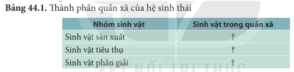 Các loại cây xanh - sinh vật sản xuất đa dạng trong tự nhiên