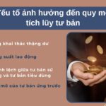Các nhân tố ảnh hưởng đến quy mô tích lũy tư bản
