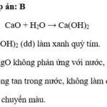 Phân biệt CaO và MgO dựa vào tính chất hóa học khác nhau