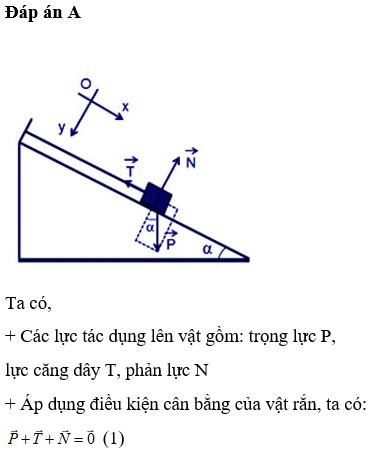 Giải bài tập 1 về cân bằng lực